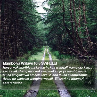 Mambo ya Walawi 10:5 SWHULB Bible Verse Image