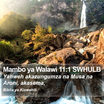 Mambo ya Walawi 11:1 SWHULB Bible Verse Image