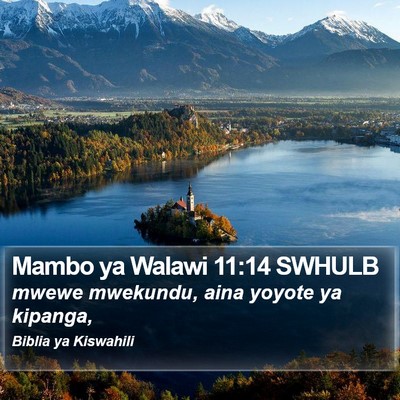 Mambo ya Walawi 11:14 SWHULB Bible Verse Image