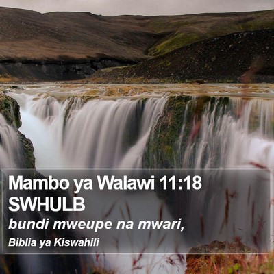 Mambo ya Walawi 11:18 SWHULB Bible Verse Image