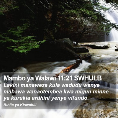 Mambo ya Walawi 11:21 SWHULB Bible Verse Image