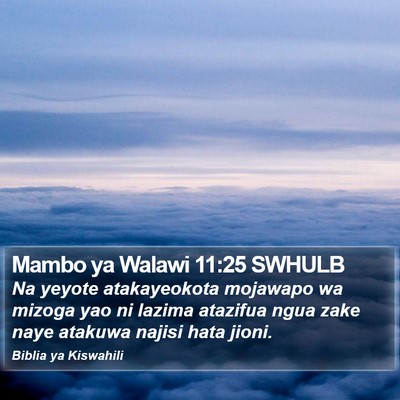 Mambo ya Walawi 11:25 SWHULB Bible Verse Image