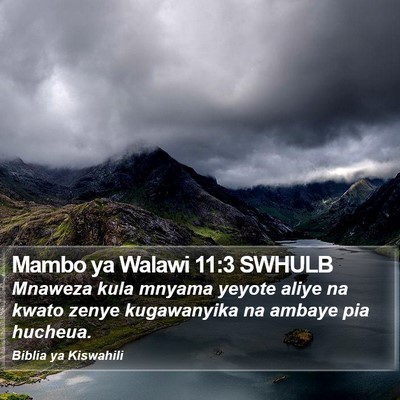 Mambo ya Walawi 11:3 SWHULB Bible Verse Image