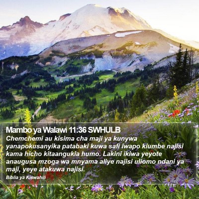 Mambo ya Walawi 11:36 SWHULB Bible Verse Image