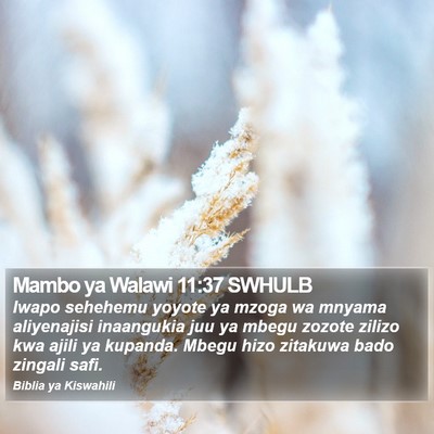 Mambo ya Walawi 11:37 SWHULB Bible Verse Image