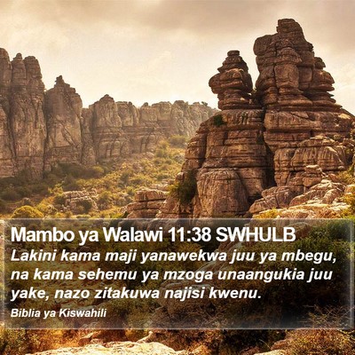 Mambo ya Walawi 11:38 SWHULB Bible Verse Image