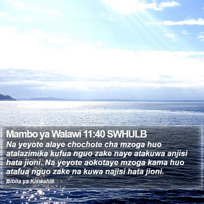 Mambo ya Walawi 11:40 SWHULB Bible Verse Image