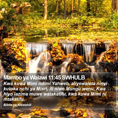 Mambo ya Walawi 11:45 SWHULB Bible Verse Image