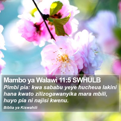 Mambo ya Walawi 11:5 SWHULB Bible Verse Image