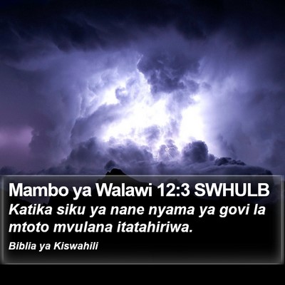 Mambo ya Walawi 12:3 SWHULB Bible Verse Image