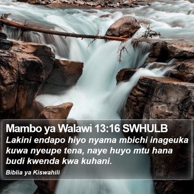 Mambo ya Walawi 13:16 SWHULB Bible Verse Image