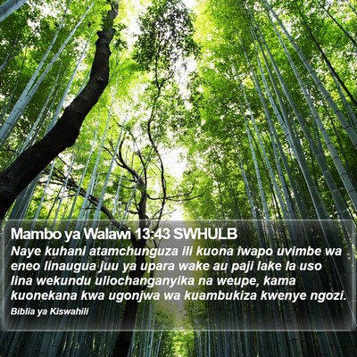 Mambo ya Walawi 13:43 SWHULB Bible Verse Image