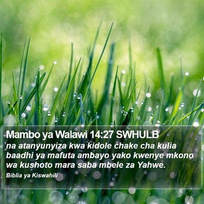 Mambo ya Walawi 14:27 SWHULB Bible Verse Image