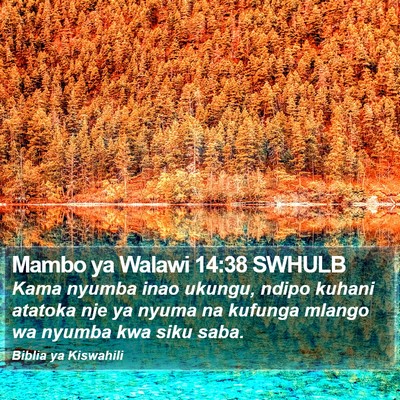 Mambo ya Walawi 14:38 SWHULB Bible Verse Image
