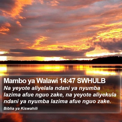 Mambo ya Walawi 14:47 SWHULB Bible Verse Image