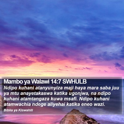 Mambo ya Walawi 14:7 SWHULB Bible Verse Image