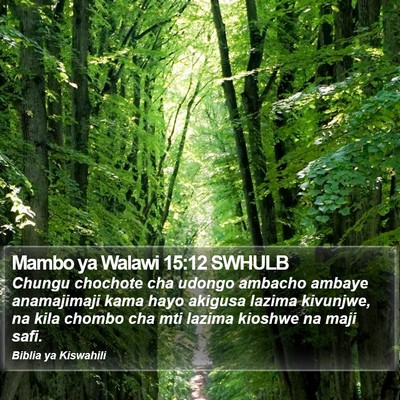 Mambo ya Walawi 15:12 SWHULB Bible Verse Image