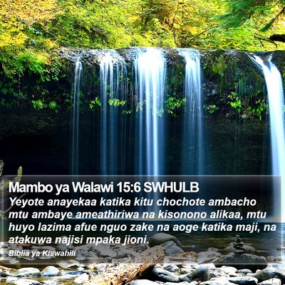 Mambo ya Walawi 15:6 SWHULB Bible Verse Image