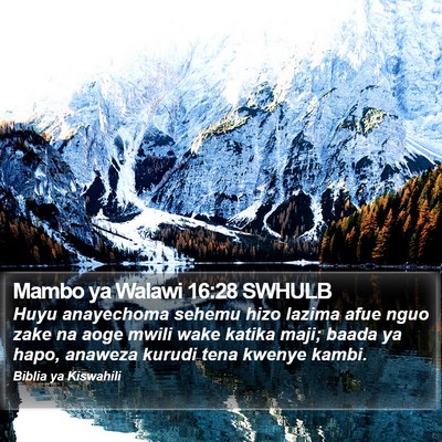 Mambo ya Walawi 16:28 SWHULB Bible Verse Image