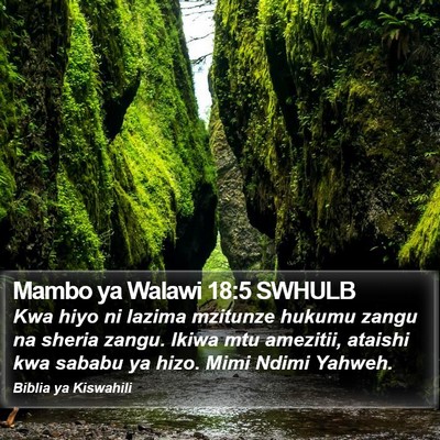 Mambo ya Walawi 18:5 SWHULB Bible Verse Image