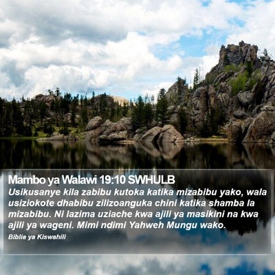Mambo ya Walawi 19:10 SWHULB Bible Verse Image