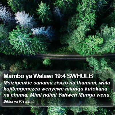 Mambo ya Walawi 19:4 SWHULB Bible Verse Image