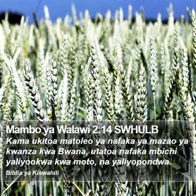 Mambo ya Walawi 2:14 SWHULB Bible Verse Image