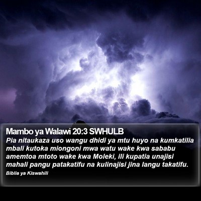 Mambo ya Walawi 20:3 SWHULB Bible Verse Image