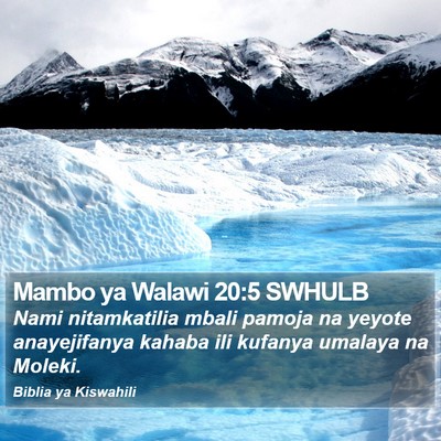 Mambo ya Walawi 20:5 SWHULB Bible Verse Image