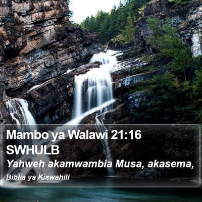 Mambo ya Walawi 21:16 SWHULB Bible Verse Image