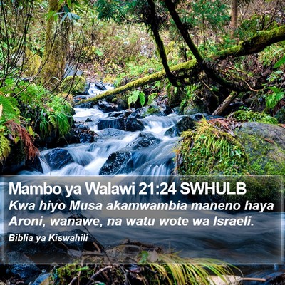 Mambo ya Walawi 21:24 SWHULB Bible Verse Image