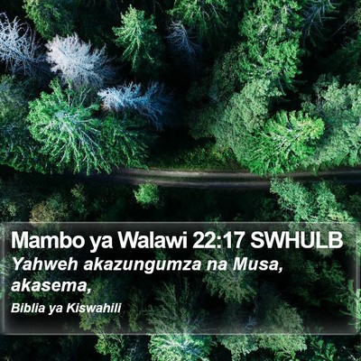 Mambo ya Walawi 22:17 SWHULB Bible Verse Image