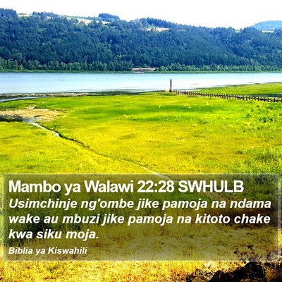 Mambo ya Walawi 22:28 SWHULB Bible Verse Image