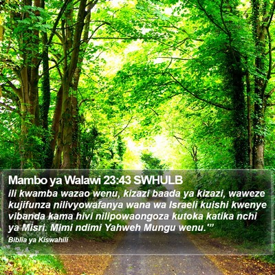 Mambo ya Walawi 23:43 SWHULB Bible Verse Image