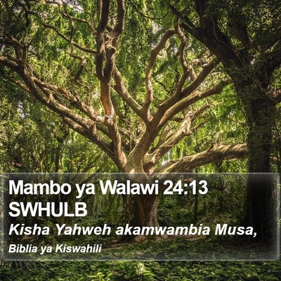 Mambo ya Walawi 24:13 SWHULB Bible Verse Image