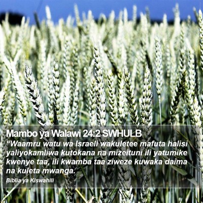 Mambo ya Walawi 24:2 SWHULB Bible Verse Image