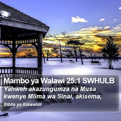 Mambo ya Walawi 25:1 SWHULB Bible Verse Image