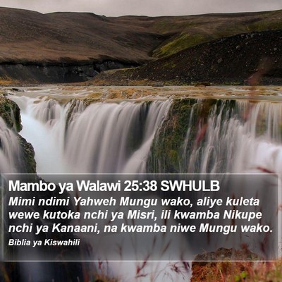 Mambo ya Walawi 25:38 SWHULB Bible Verse Image