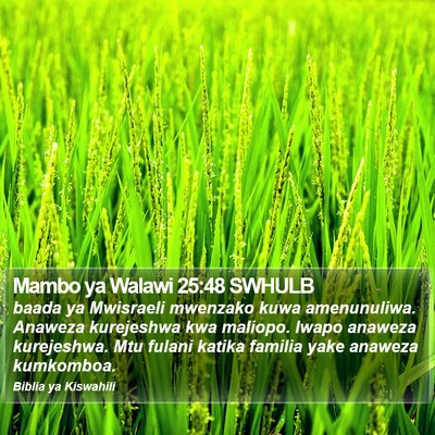 Mambo ya Walawi 25:48 SWHULB Bible Verse Image
