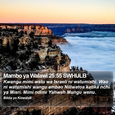 Mambo ya Walawi 25:55 SWHULB Bible Verse Image