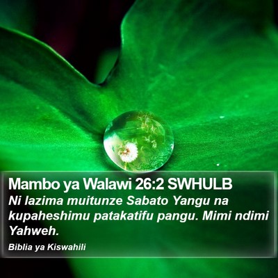 Mambo ya Walawi 26:2 SWHULB Bible Verse Image