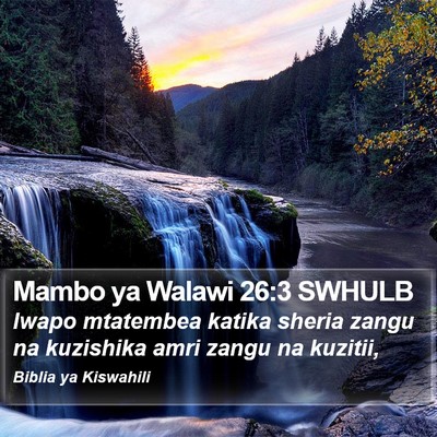Mambo ya Walawi 26:3 SWHULB Bible Verse Image