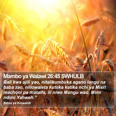 Mambo ya Walawi 26:45 SWHULB Bible Verse Image