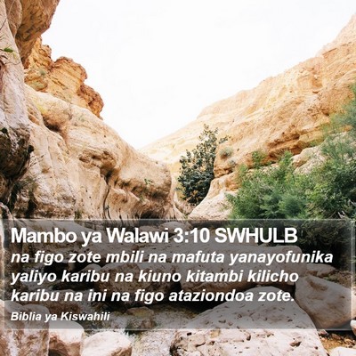 Mambo ya Walawi 3:10 SWHULB Bible Verse Image