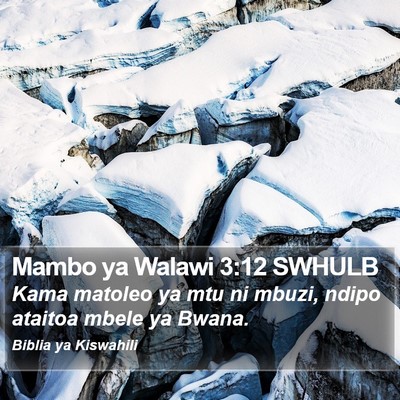 Mambo ya Walawi 3:12 SWHULB Bible Verse Image