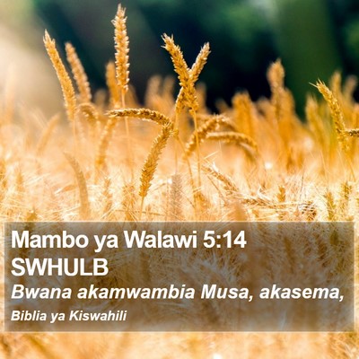 Mambo ya Walawi 5:14 SWHULB Bible Verse Image