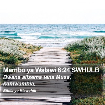 Mambo ya Walawi 6:24 SWHULB Bible Verse Image