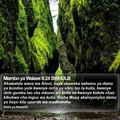 Mambo ya Walawi 8:24 SWHULB Bible Verse Image