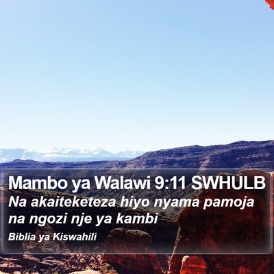 Mambo ya Walawi 9:11 SWHULB Bible Verse Image