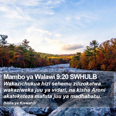 Mambo ya Walawi 9:20 SWHULB Bible Verse Image
